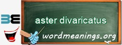 WordMeaning blackboard for aster divaricatus